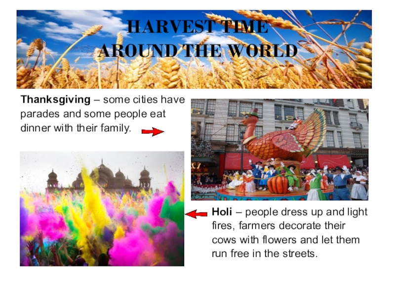 In northern india they harvest their. Harvest time around the World. Celebrations презентация. Spotlight 5 Celebrations. Harvest time around the World текст.
