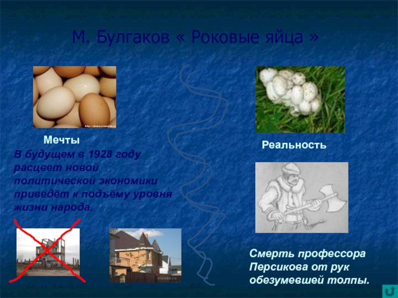 Роковые яйца краткое. Сюжет роковые яйца Булгаков. Роковые яйца Булгаков проблемы. Проблемы произведения роковые яйца. Основная мысль роковые яйца.