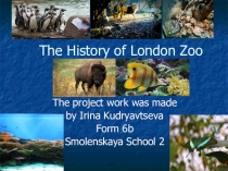 Презентация по английскому языку на тему Лондонский зоопарк