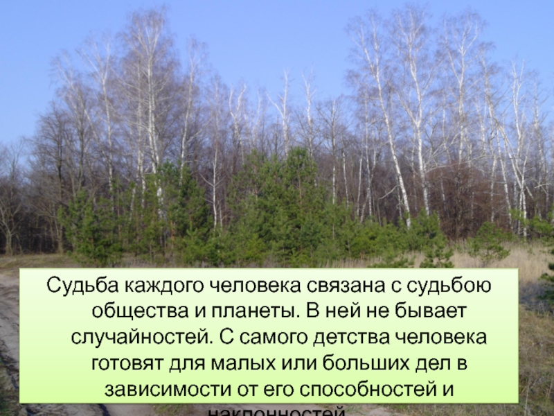 Как судьба человека связана с судьбой народа. В судьбе каждого человека. Сосновка Родина моя. Сосновка стихи. Как судьба человека зависит от судьбы общества.