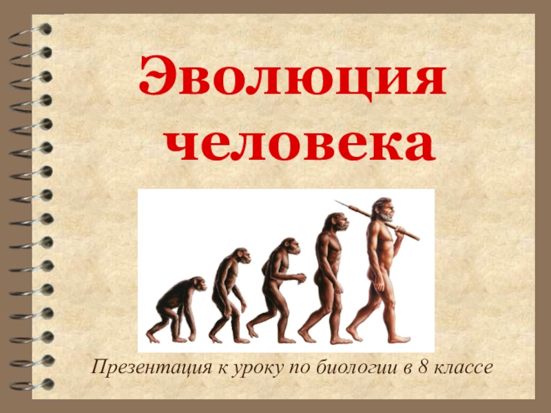 Презентация Презентация по биологии на тему  Эволюция человека (8 класс)