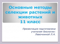 Презентация к уроку биологии в 11 классе на тему Селекция животных