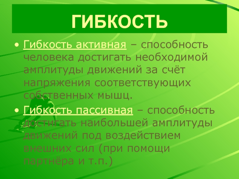 Активная и пассивная гибкость.