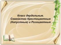 Презентация по биологии на тему Семейства Крестоцветные и Розоцветные (6 класс)
