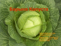 Презентация к игре-презентации Барыня Капуста (5-6 класс)