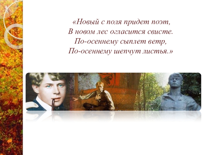 По осеннему сыплет ветер