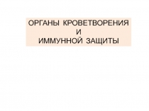 Презентация по биологии на тему Органы кроветворения