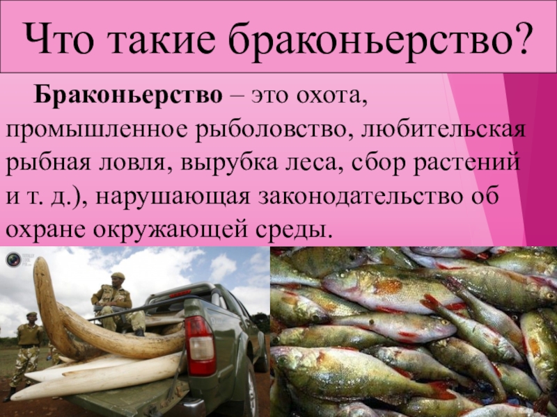 Охранять природу значит охранять жизнь презентация 7 класс обществознание конспект