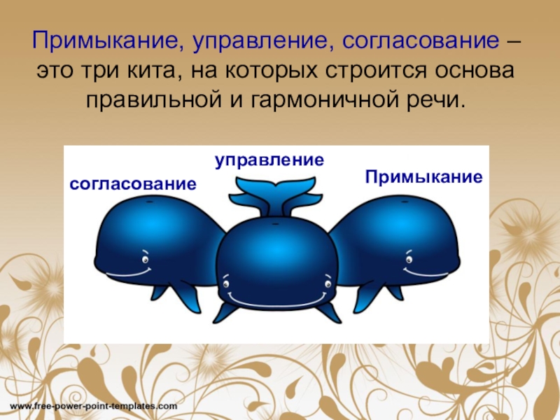 Три кита отзывы. Три кита. Три кита для презентации. Три кита основа. Три кита русского языка.