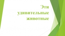 Презентация по биологии на тему Эти удивительные животные