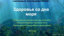 Презентация для дошкольников Здоровье со дна море