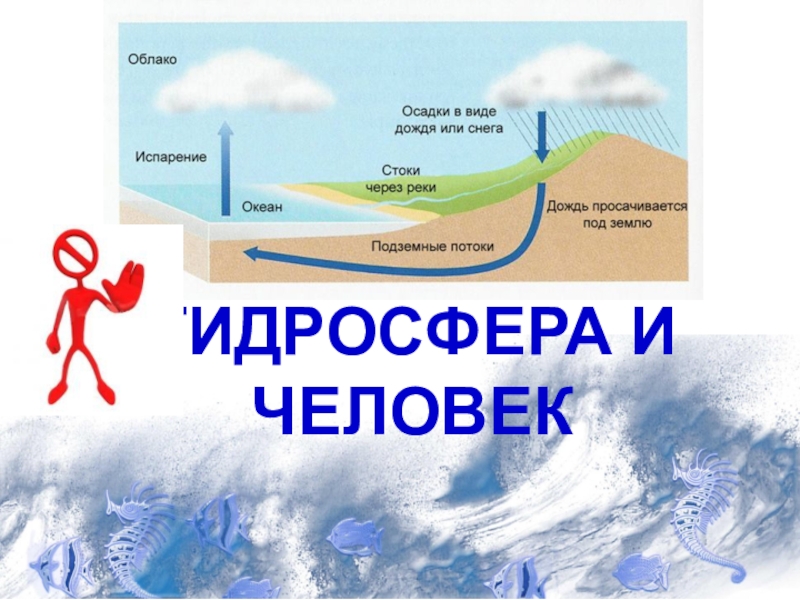 Презентация Презентация по географии на тему Гидросфера и человек (8 класс)