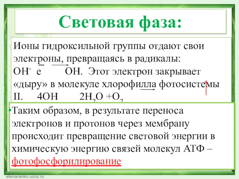 Ионы гидроксильной группы отдают свои электроны, превращаясь в радикалы: ОН- е     ОН. Этот