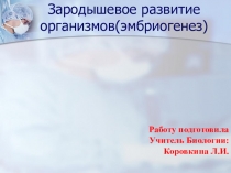 Презентация по биологии на темуЗародышевое развитие организмо ( эмбриогенез