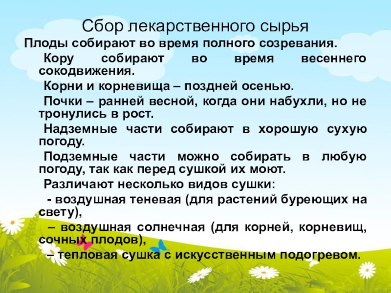 Сбор рк. Сбор лекарственного сырья. Сокодвижение у растений. Сбор лекарственного растительного сырья плоды и семена. Сбор лекарственных трав корни осенью или ранней весной.