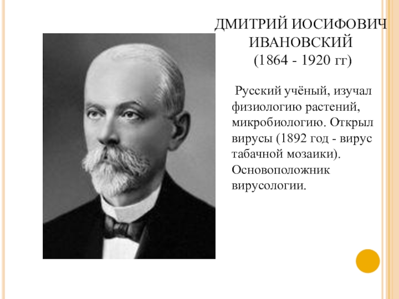 Д и ивановский. Дмитрий Иосифович Ивановский (1864-1920). Дмитрий Иосифович Ивановский. Дмитрий Иосифович Ивановский изучает. Ивановский Дмитрий Иосифович вирусология.