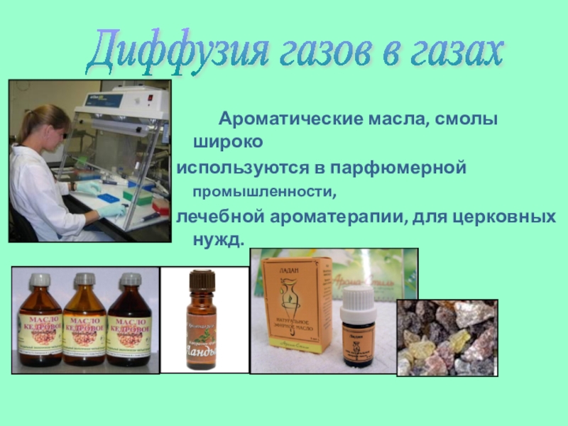 Ароматические масла, смолы широко используются в парфюмерной промышленности,лечебной ароматерапии, для церковных нужд.