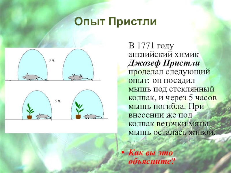 Опыт изображенный на рисунке был осуществлен английским химиком джозефом пристли