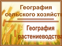 Презентация по географии Сельское хозяйство РБ. Растениеводство
