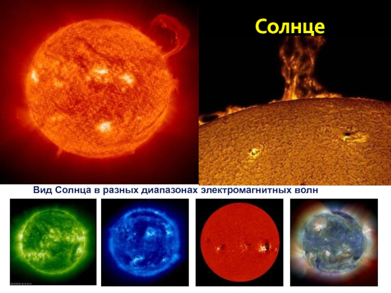 Солнечный разный. Солнце в различных спектрах. Солнце в различных диапазонах. Солнце снимки в разных диапазонах. Виды солнца.
