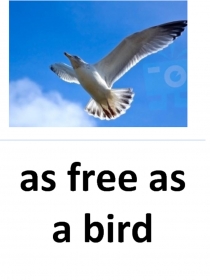 Презентация на английском языке на тему: Comparisons