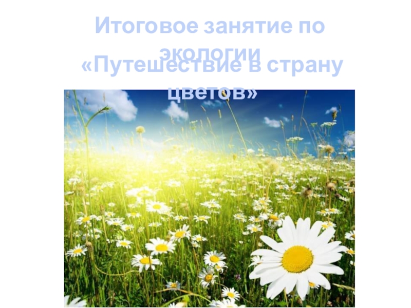 Скоро солнце. Добро пожаловать в лето. Путешествие в страну цветов. Добро пожаловать в лето картинки. Первый день лета мотиваторы.