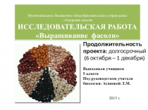 Презентация по биологии Выращивание фасоли (5 класс)