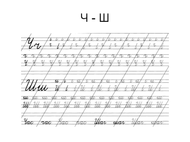 Прописи буква ш. Тренажёр написания буквы ш. Прописи буква ч. Прописи буквы ч, ш.