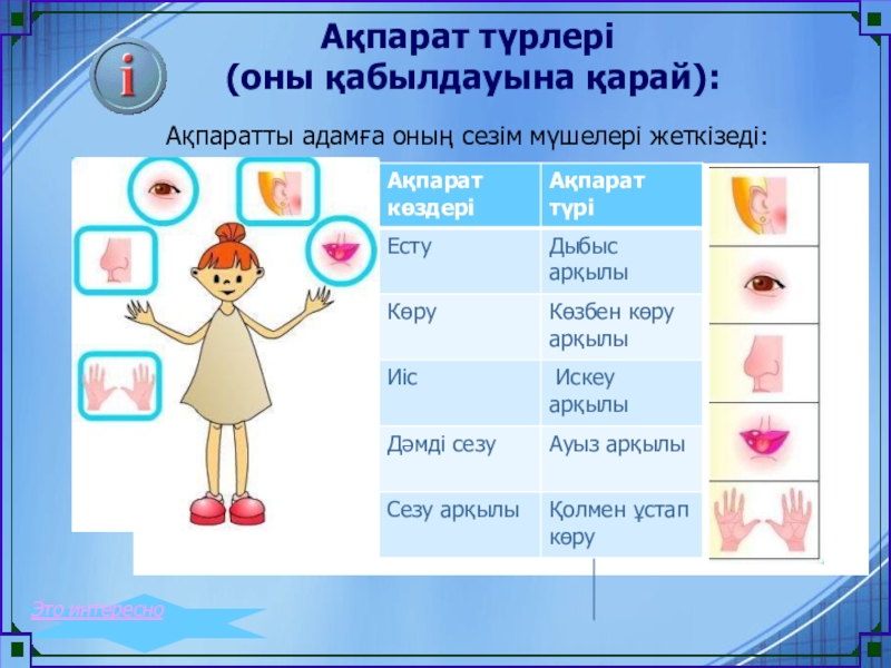 Дене мүшелері суреттер. Ақпарат дегеніміз не. Сезім мүшелері презентация. Сезим мушелери. Информатика деген не.