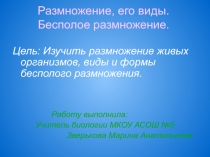 Презентация по биологии по теме Бесполое размножение