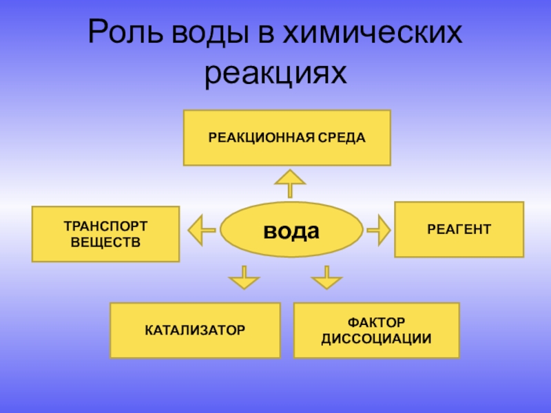 Вода как реагент и как среда для химического процесса проект