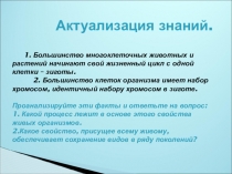 Презентация по биологии на тему Митоз(9 класс)