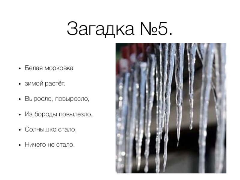 Загадка вырастаю. Загадки выросла повыросла из бороды ?. Загадка белая морковка зимой растет. Белая морковка зимой растет ответ на загадку. Выросла повыросла из бороды повылезло солнышко.