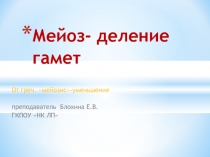 Презентация по биологии на тему Деление клетки-Мейоз