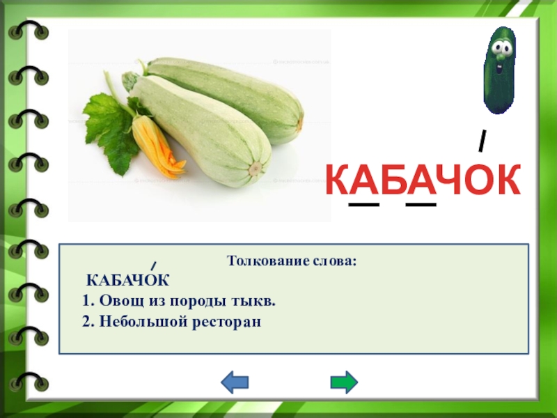 Презентация про кабачки