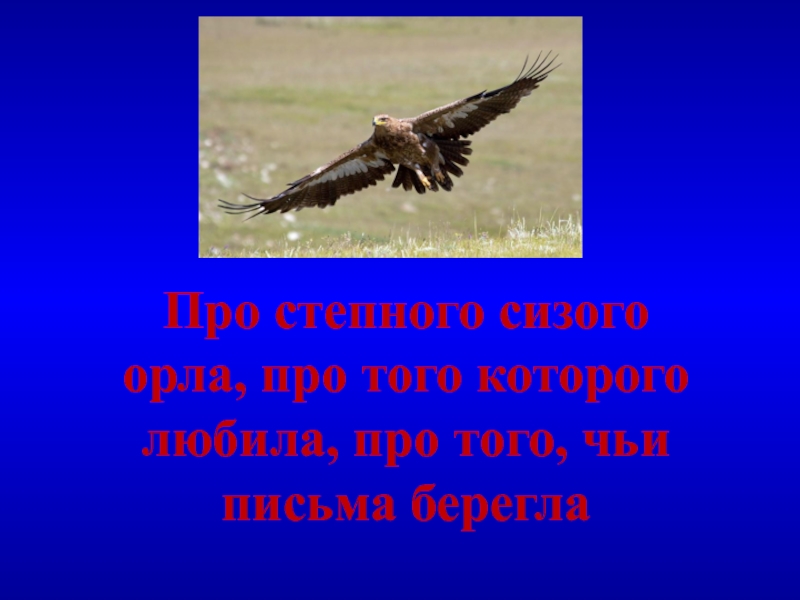 Стихотворение про орлов. Степной сизый Орел. Стих про орла. Сизого орла про того которого. Стихи про степного орла.