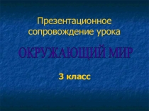 Презентация по окружающему миру