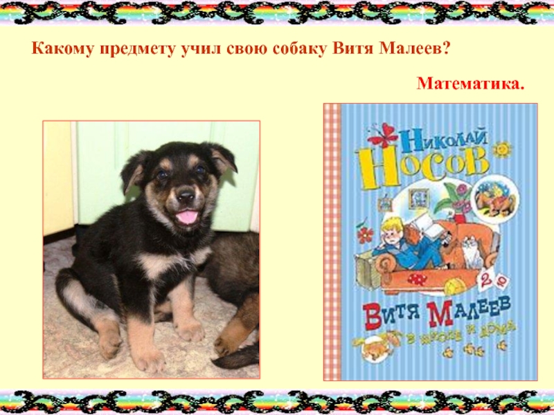 белый бим чёрное ухо краткое содержание. белый бим чёрное ухо порода собаки. детские книги про собак. коваль пограничный пёс алый книга. собака герой книги.
