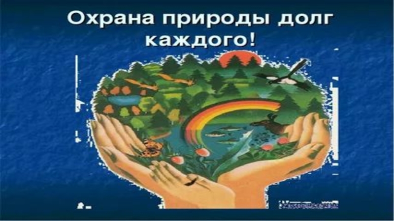 Охрана природы долг каждого. Охрана природы наш долг. Сохранение природы долг каждого. Беречь природу долг каждого.