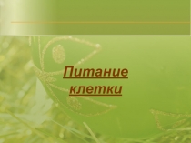 Типы питания. Биология 9 класс