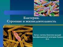 Урок -презентация Бактерии, их строение и жизнедеятельность для 5 класса