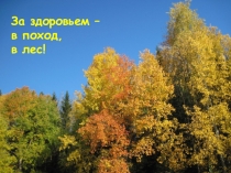 Презентация пеший поход в лес