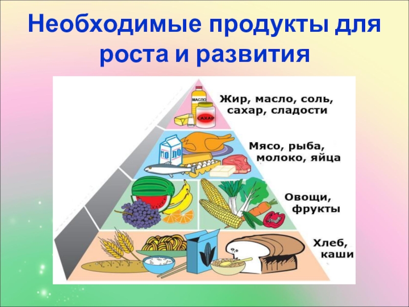 Продукты для роста