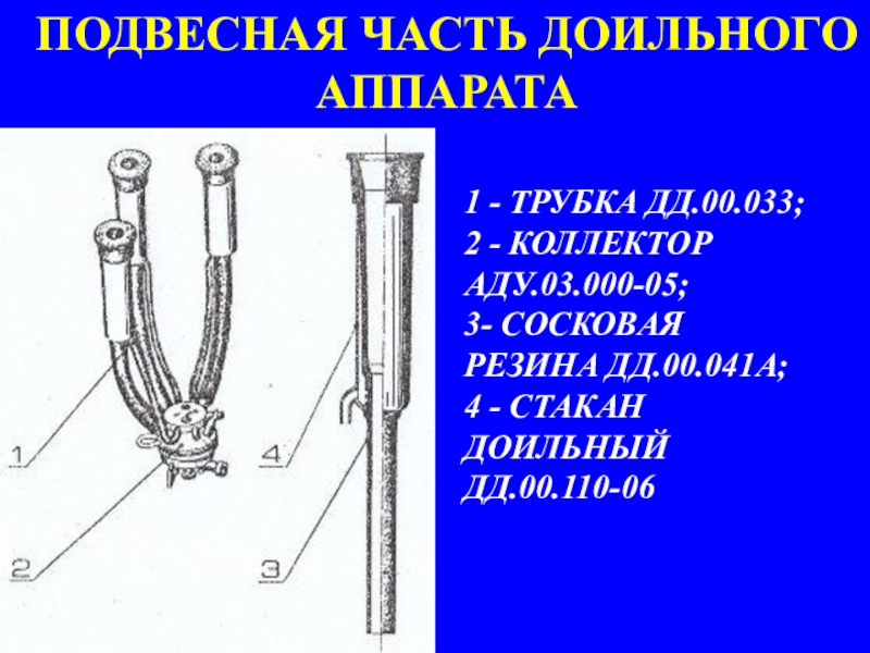 Схема коллектора доильного аппарата