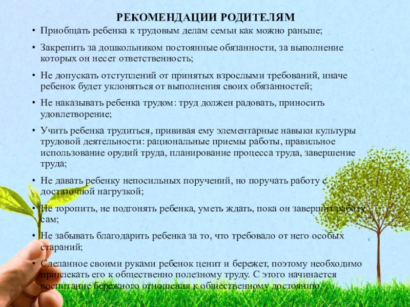 Формирование у детей дошкольного возраста ценностного отношения к родной природе проект