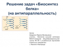 Презентация по биологии на тему Решение задач Биосинтез белка (антипараллельность)