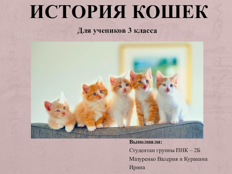 Развивающая презентация на тему История кошек (3 класс)