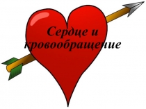 Презентация по биологии на тему: Строение и работа сердца(8 класс)