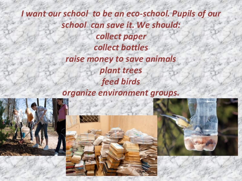 I want our school to be an eco-school. Pupils of our school can save it. We should: