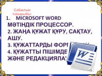 MS Word мәтіндік редакторы